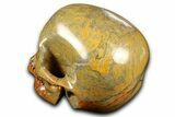 Realistic Columnar Stromatolite Skull #382155-3